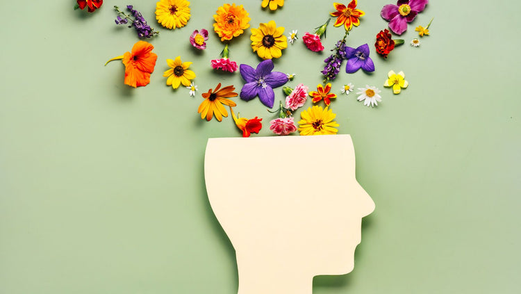 Cervello & Funzione Cognitiva